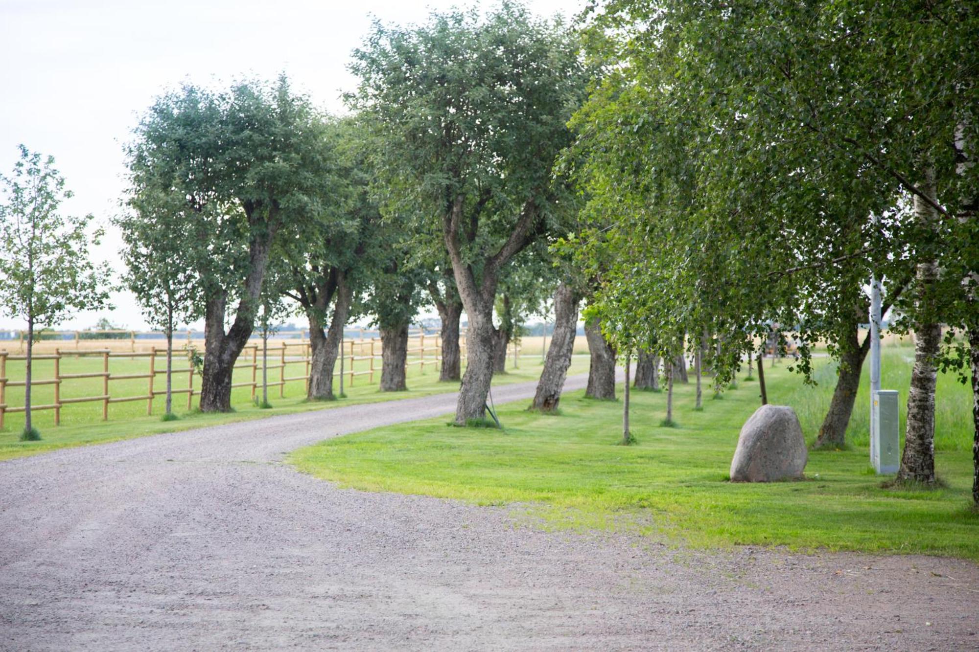 Aengagarden - Gardshuset Casa de hóspedes Våxtorp Exterior foto